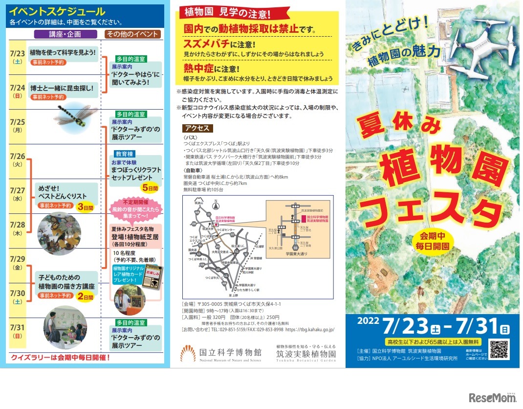 夏休み植物園フェスタ