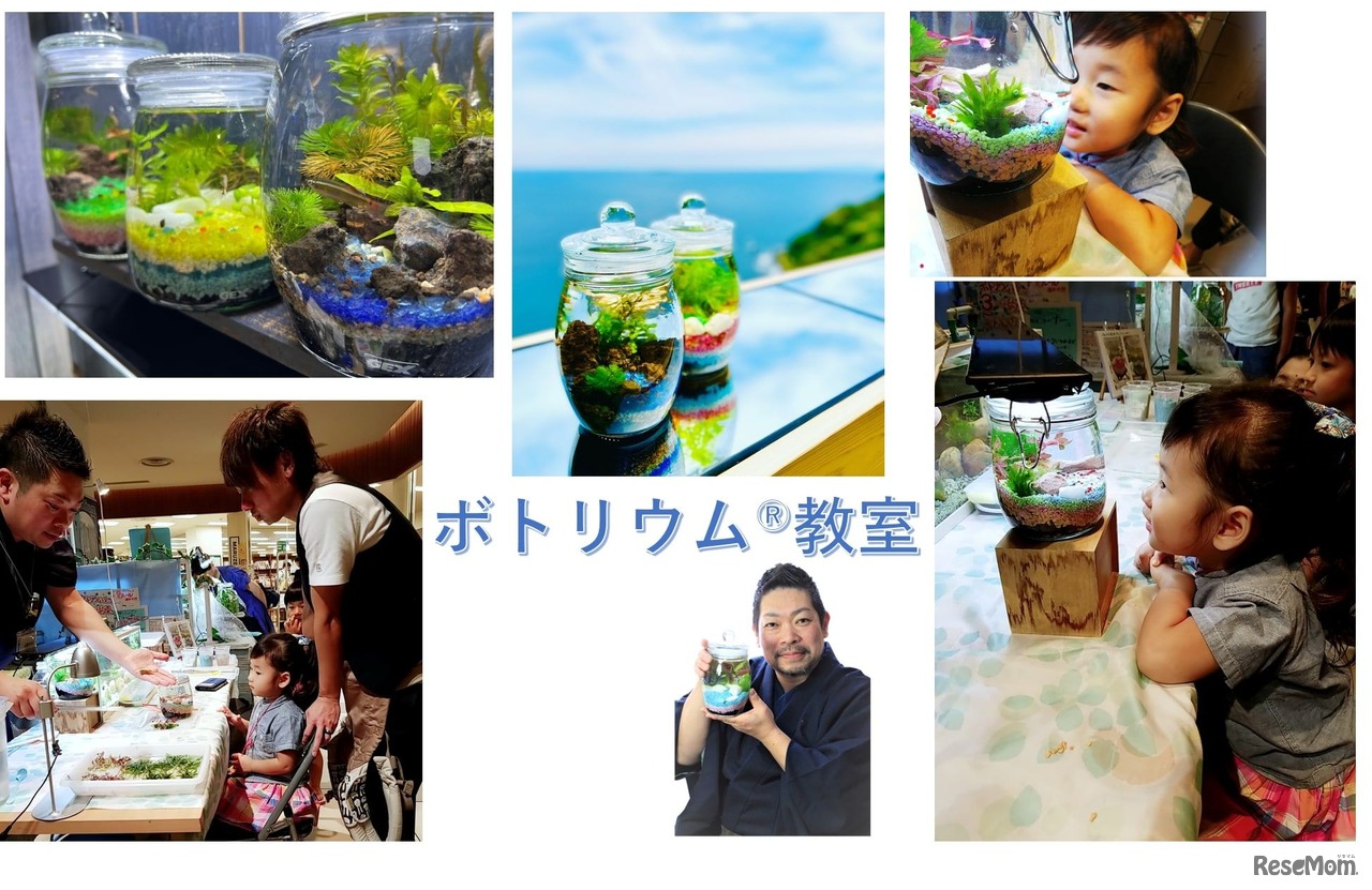 ボトリウム教室