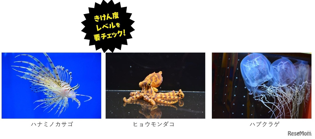 きけんないきもの展