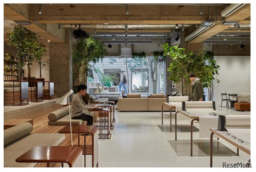 THE CAMPUS（ザ・キャンパス）