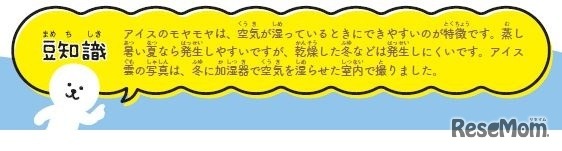 アイスのモヤモヤ豆知識