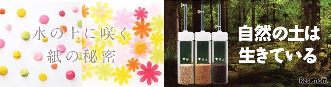 お手軽派からじっくり派まで多彩な実験・工作