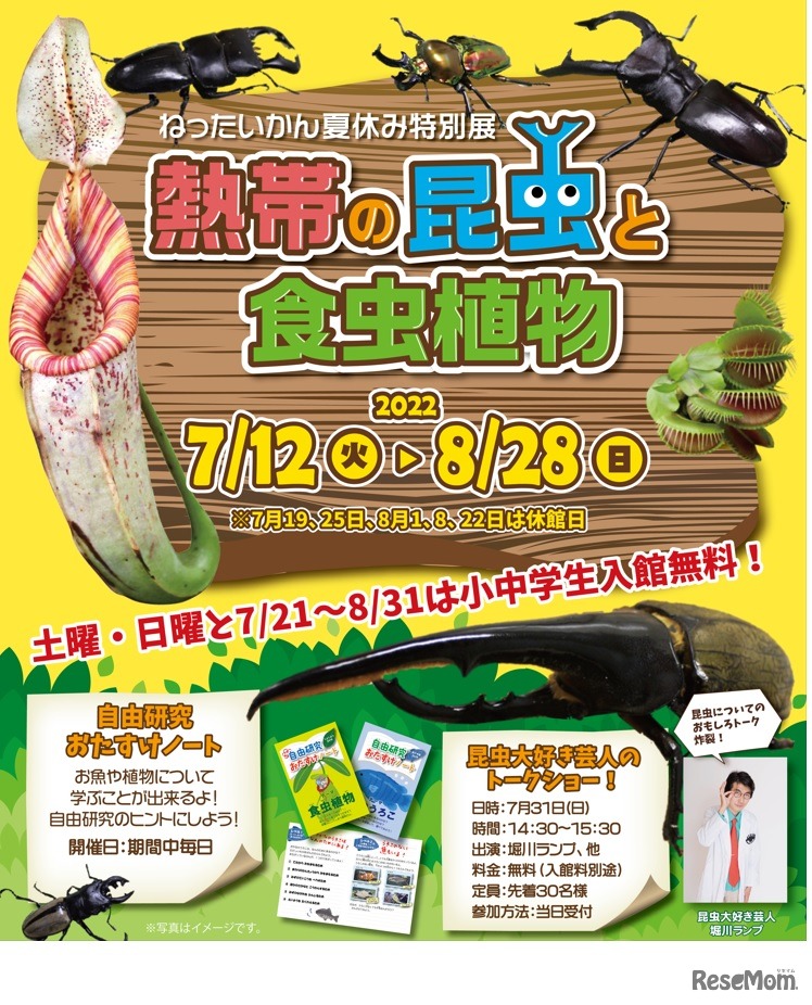 「熱帯の昆虫と食虫植物」展