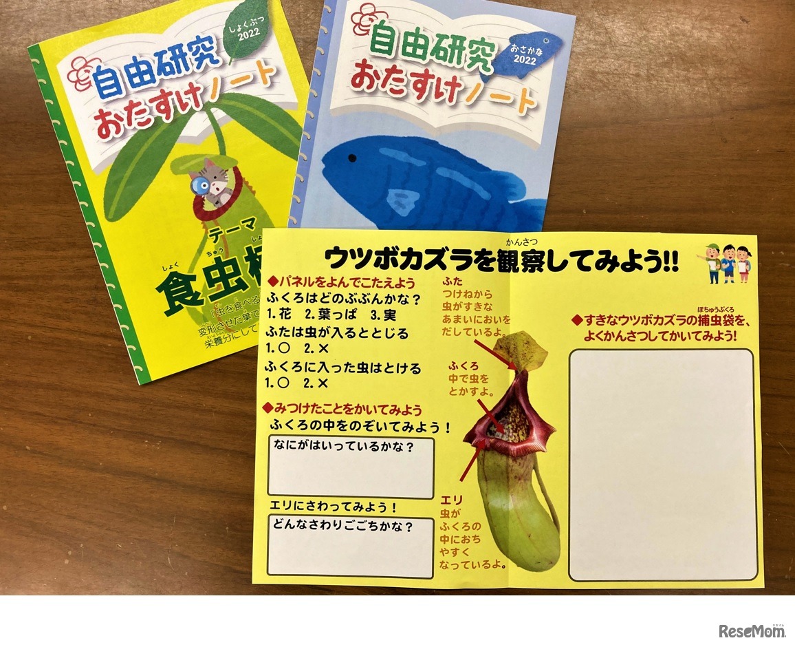 自由研究おたすけノート