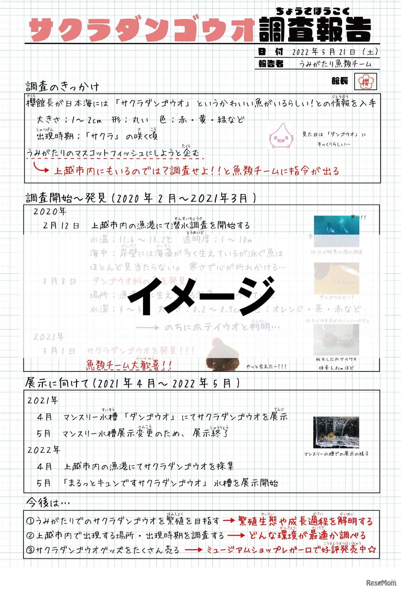 うみがたりの自由研究