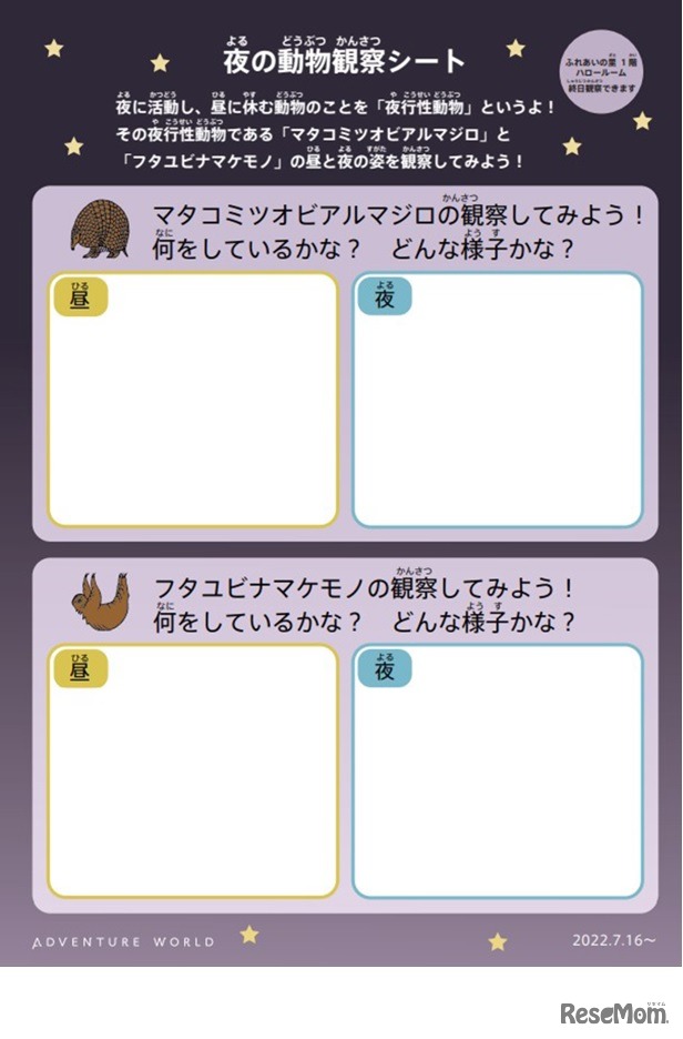 夜の動物観察シート