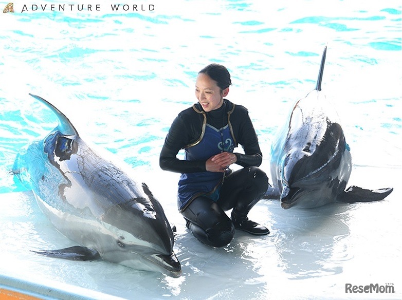 動物と飼育スタッフ