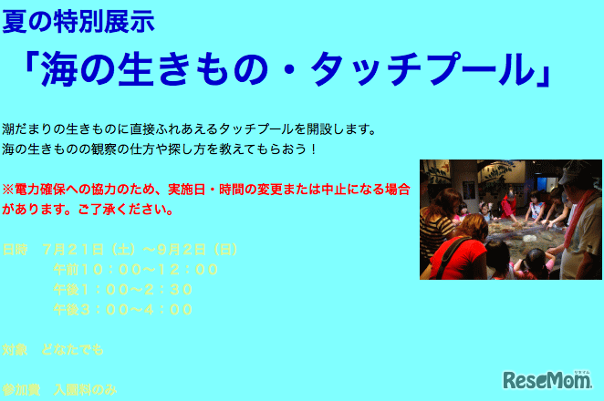 海の生き物・タッチプール