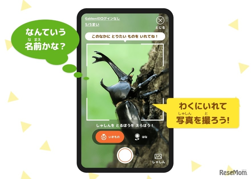 AI図鑑アプリ「ナニコレンズ」