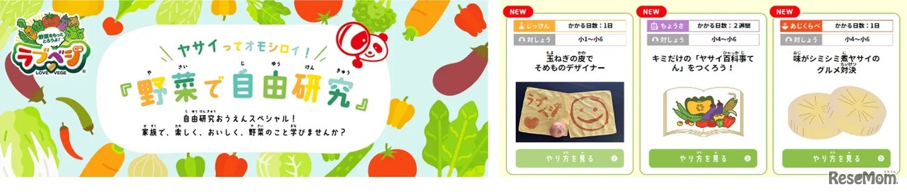 野菜で自由研究