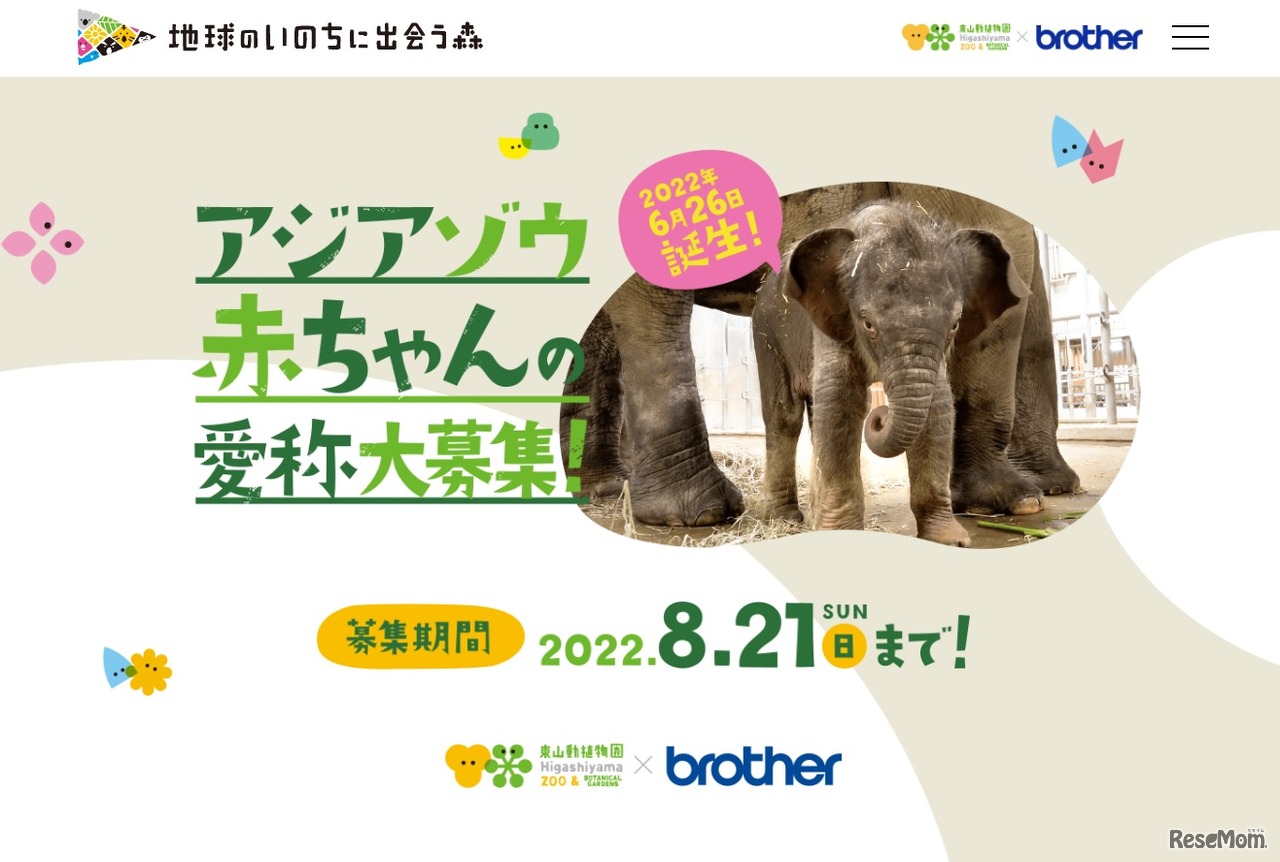 アジアゾウの赤ちゃんの愛称大募集