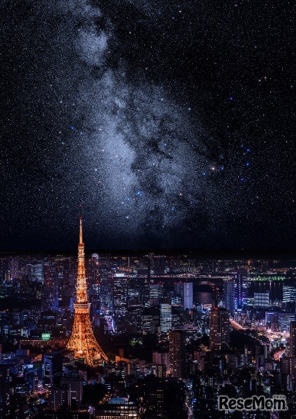 上映作品のイメージ