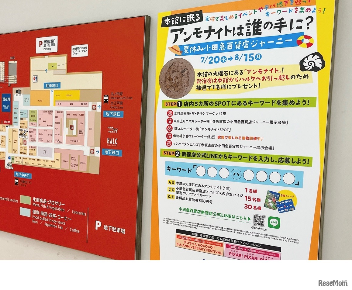 本館に眠る「アンモナイトは誰の手に?」