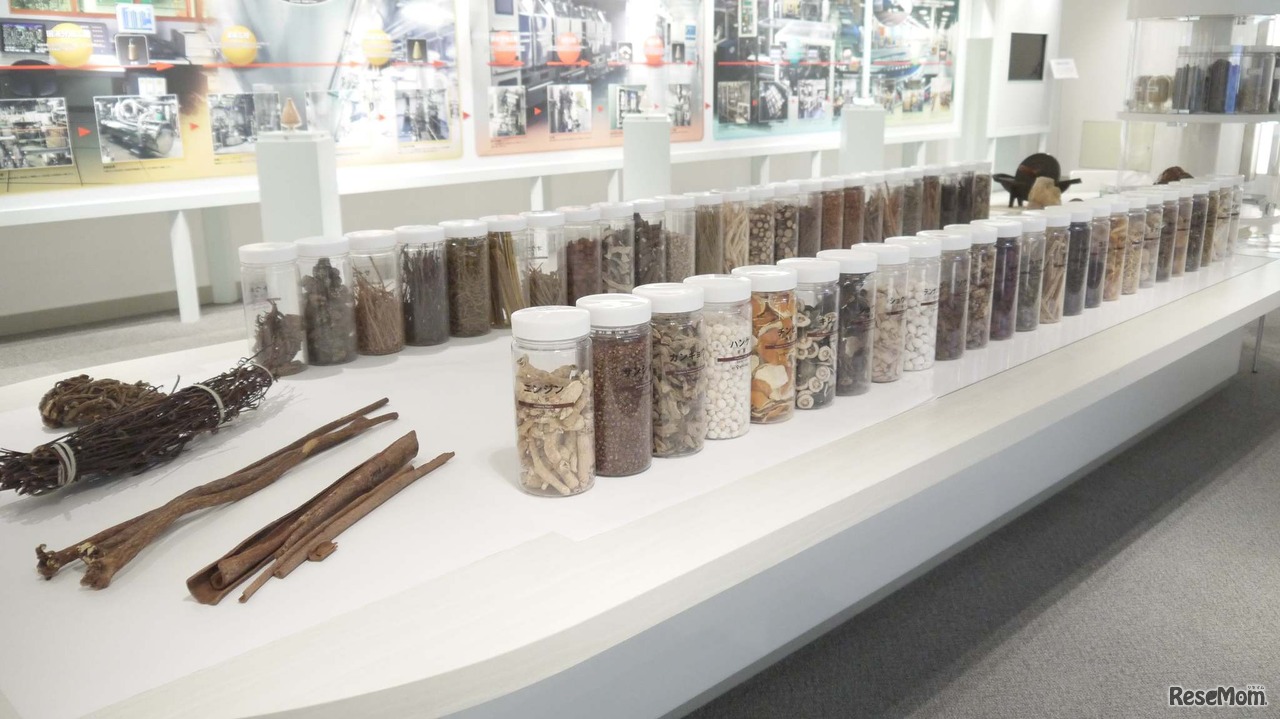 KAMPOのヒ・ミ・ツを探る！ ツムラ漢方記念館オンライン見学会