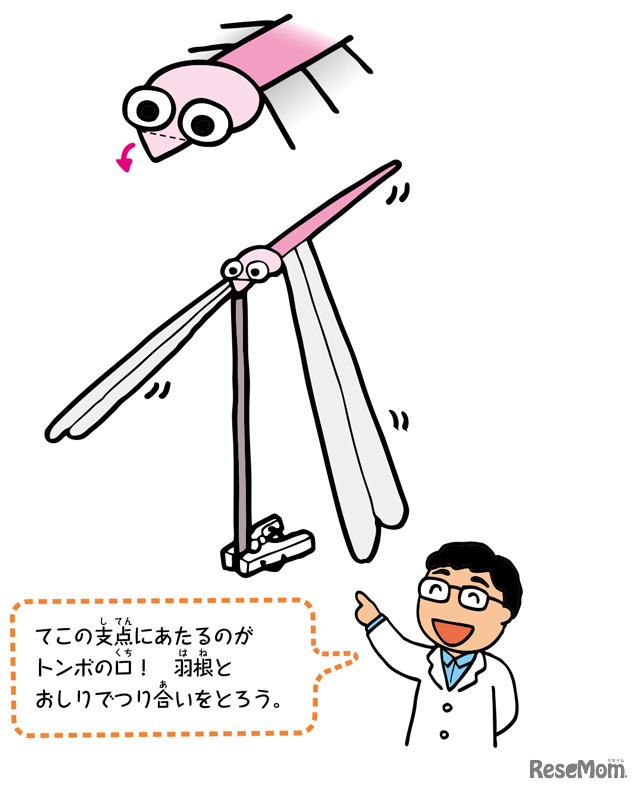 美しいバランスを楽しもう「バランストンボ」