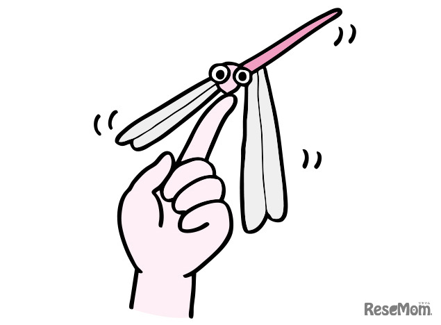 美しいバランスを楽しもう「バランストンボ」