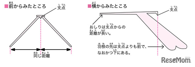 美しいバランスを楽しもう「バランストンボ」