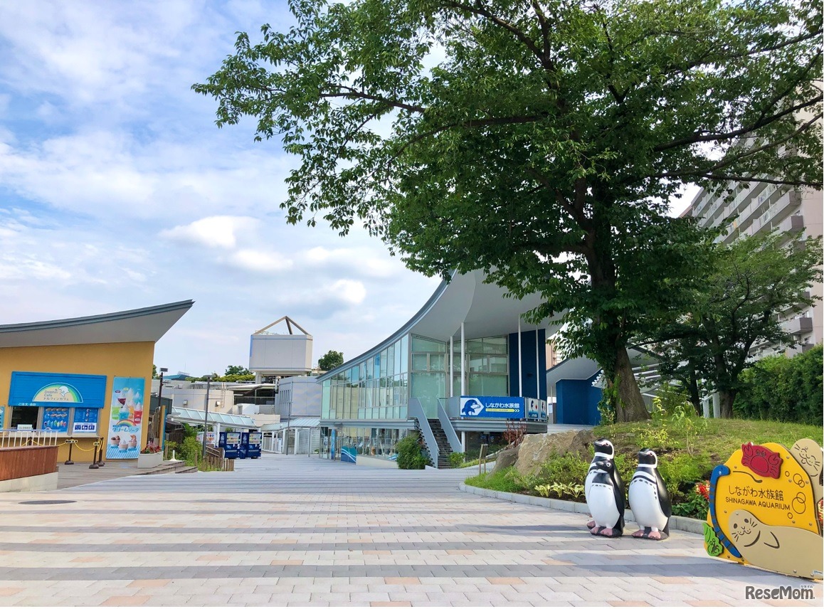 しながわ水族館