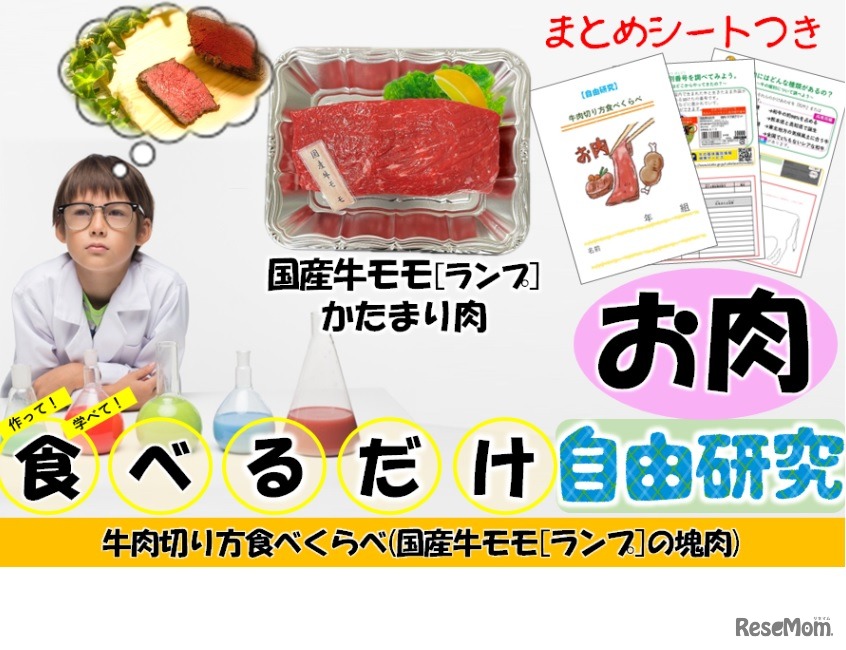 牛肉切り方食べくらべ「国産牛モモ（ランプ）の塊肉」