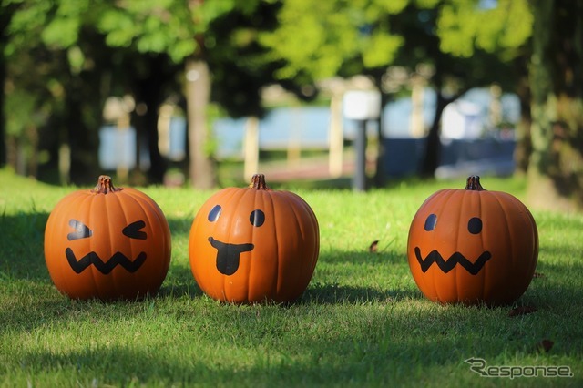 ミッション迷子のかぼちゃを探せ！