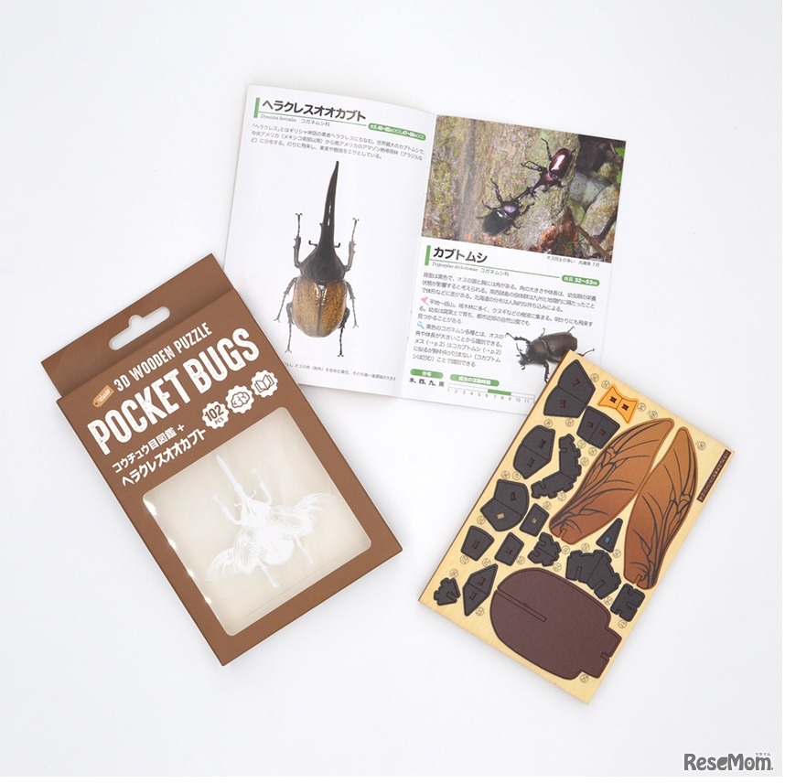 図鑑付き3Dウッドパズル