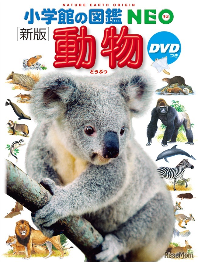 小学館の図鑑NEO「動物」