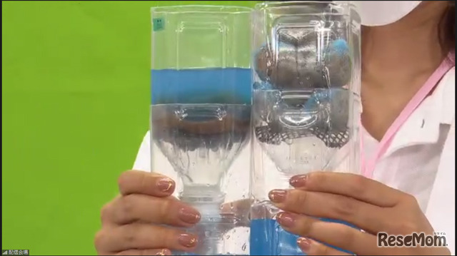 右の丸くなった森の土は水の通りも良く水を含んでいる