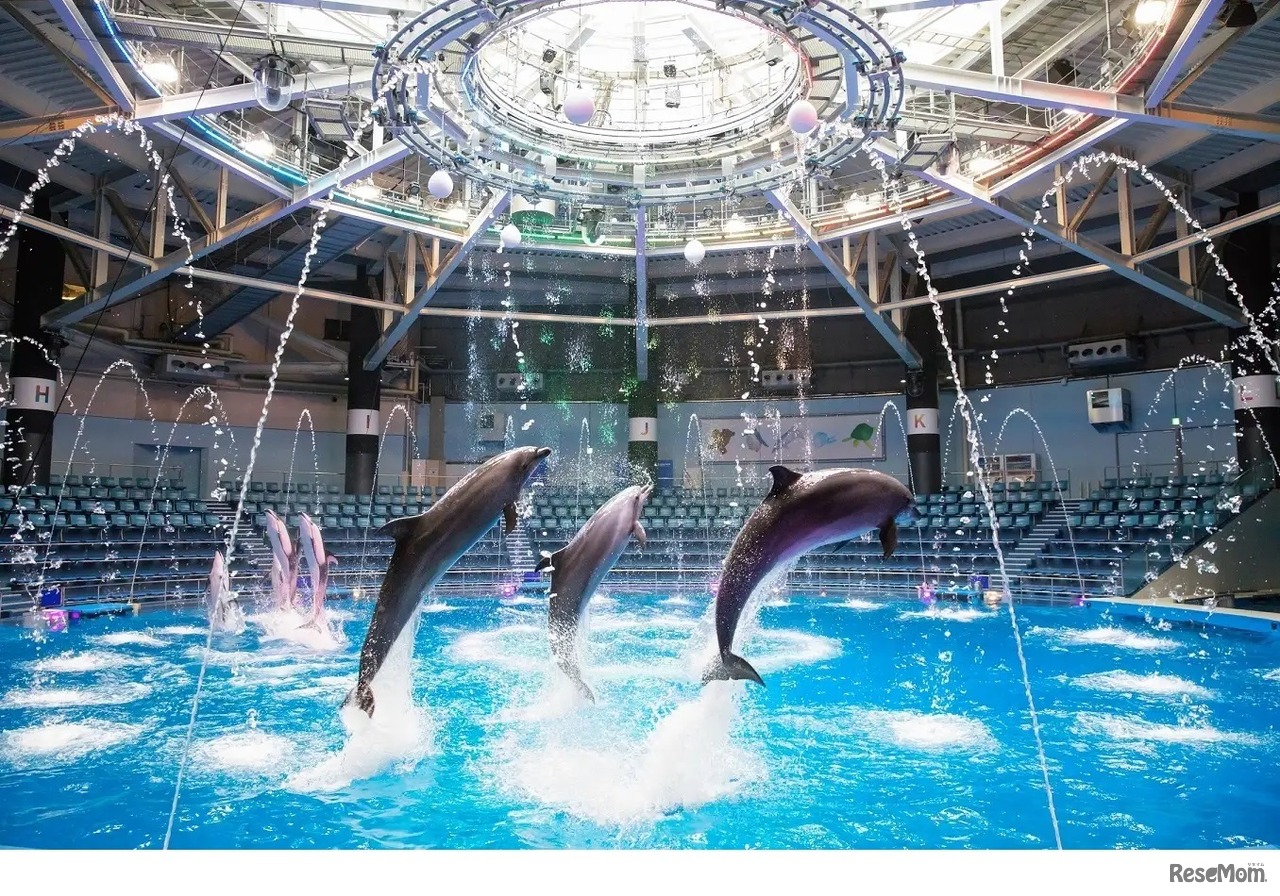 FUNNY RARTY！！のイメージ