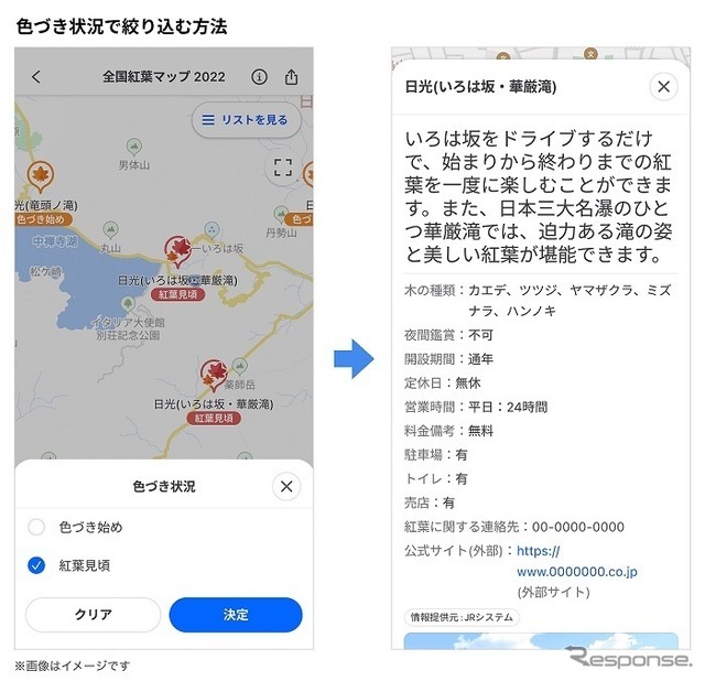 色づき状況で絞り込む方法