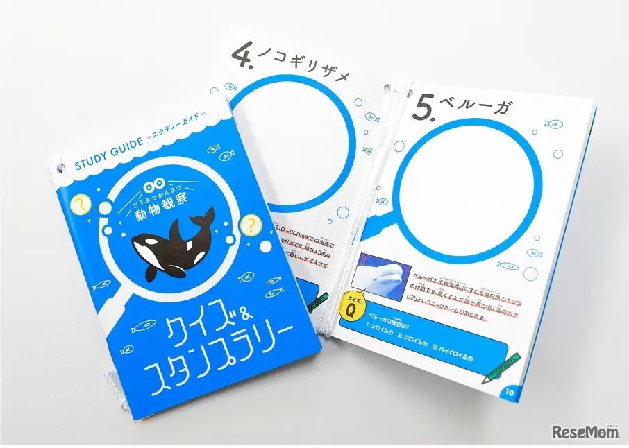 スタンプラリー