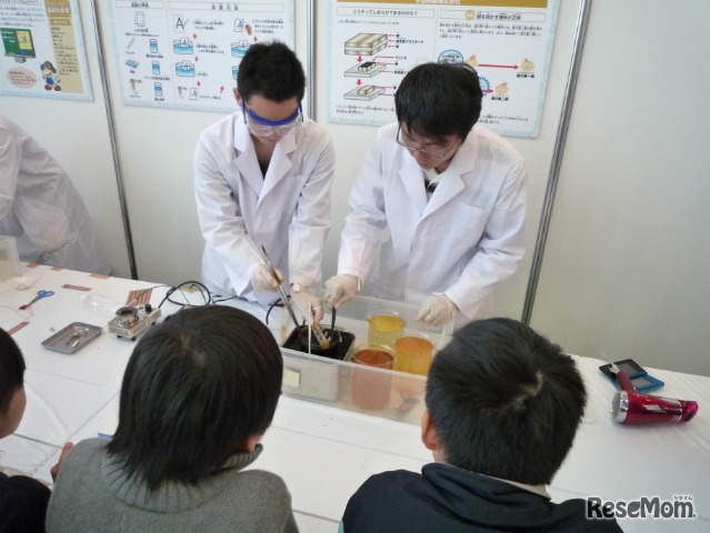 実験体験コーナー（昨年の様子）