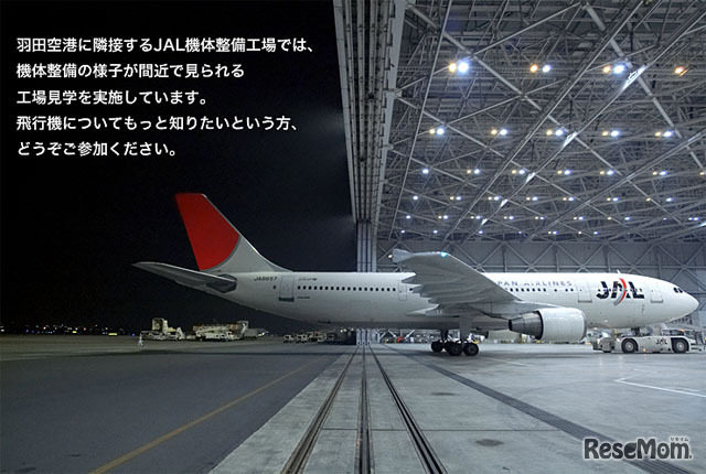 JAL工場見学、機体整備を間近で見る