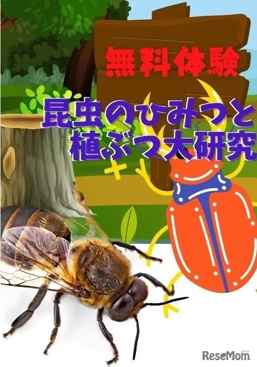 無料体験案内