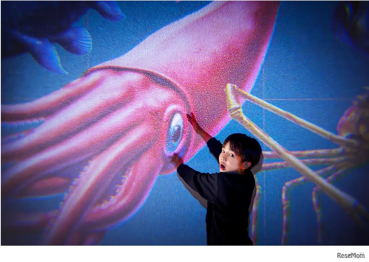 「大図鑑プロジェクター」で投影したダイオウイカ