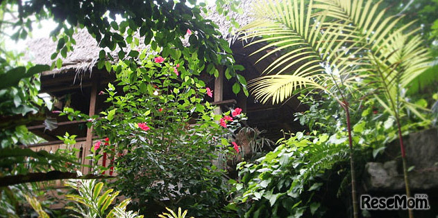 熱帯環境植物館