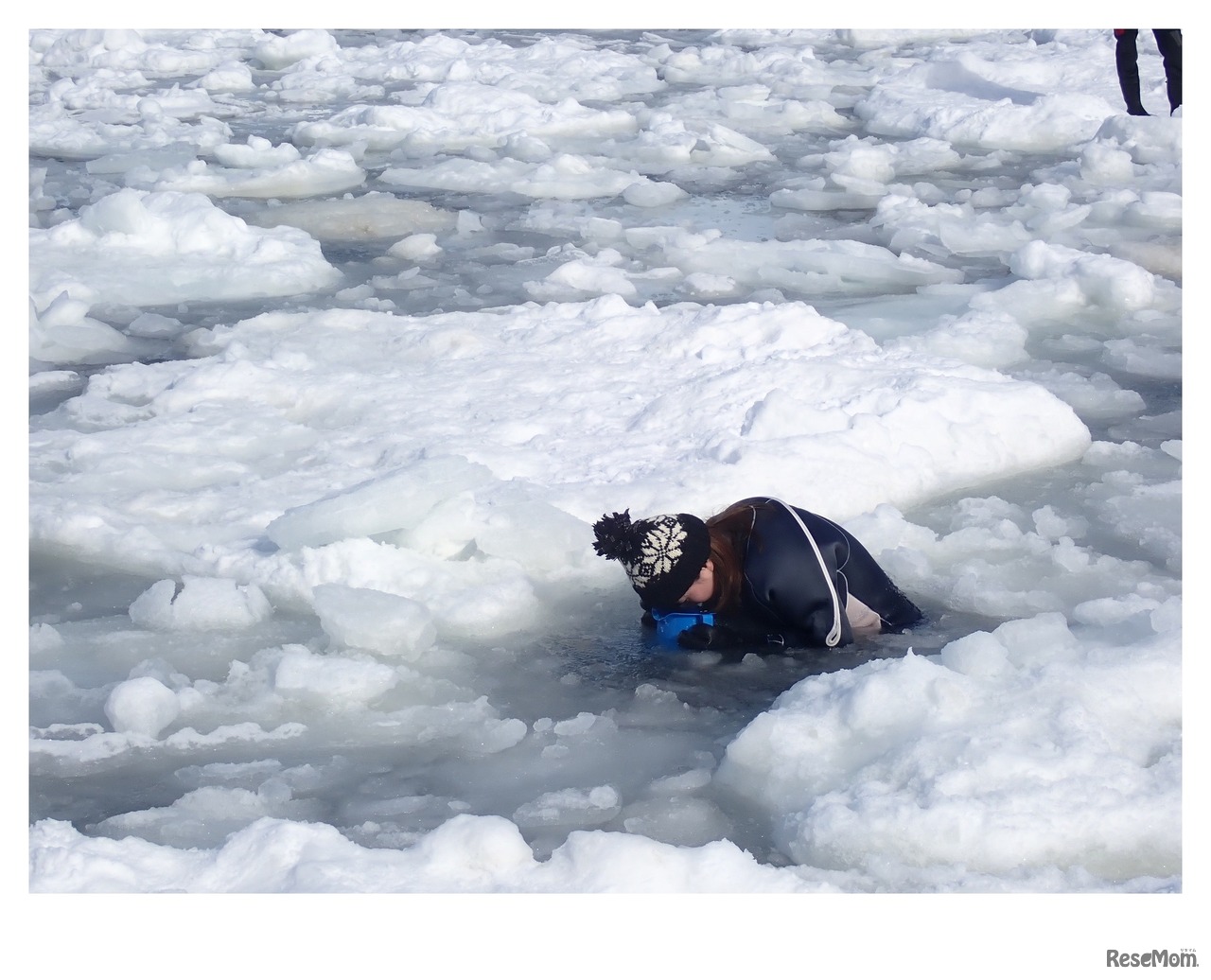 流氷が浮かぶ海中に入ったり、箱メガネで中をのぞいてクリオネを探す