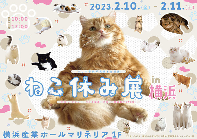 「ねこ休み展 2023 in 横浜」2月10日～11日、開催！可愛さたっぷりの写真展や、本イベントでしか買えないグッズも