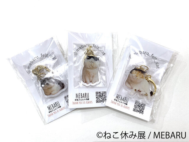 「ねこ休み展 2023 in 横浜」2月10日～11日、開催！可愛さたっぷりの写真展や、本イベントでしか買えないグッズも