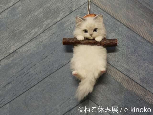 「ねこ休み展 2023 in 横浜」2月10日～11日、開催！可愛さたっぷりの写真展や、本イベントでしか買えないグッズも