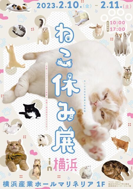 「ねこ休み展 2023 in 横浜」2月10日～11日、開催！可愛さたっぷりの写真展や、本イベントでしか買えないグッズも