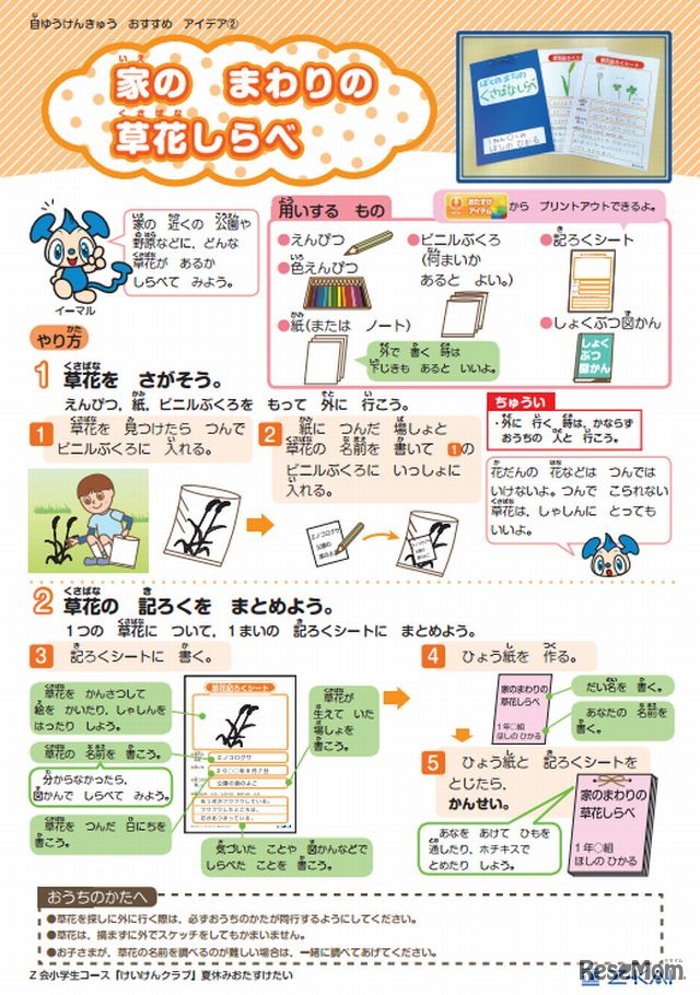 家のまわりの草花しらべ