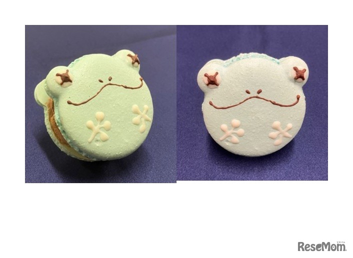 もうどく展 ReMixオリジナルマカロン「ジュウジメドクアマガエル」