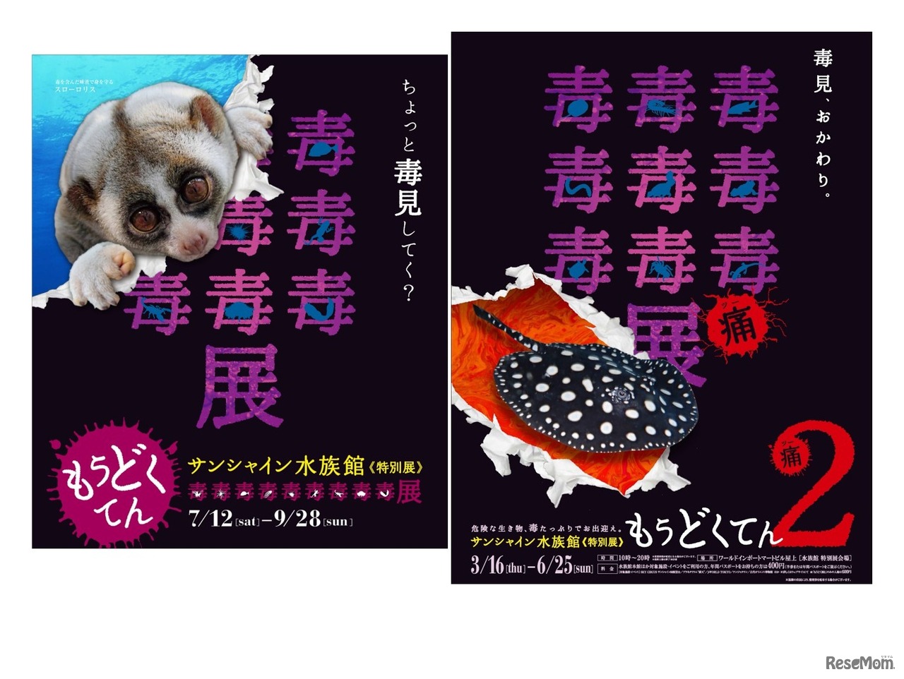 2014年「毒毒毒毒毒毒毒毒毒展（もうどく展）」、2017年「毒毒毒毒毒毒毒毒毒展・痛（もうどく展2）」