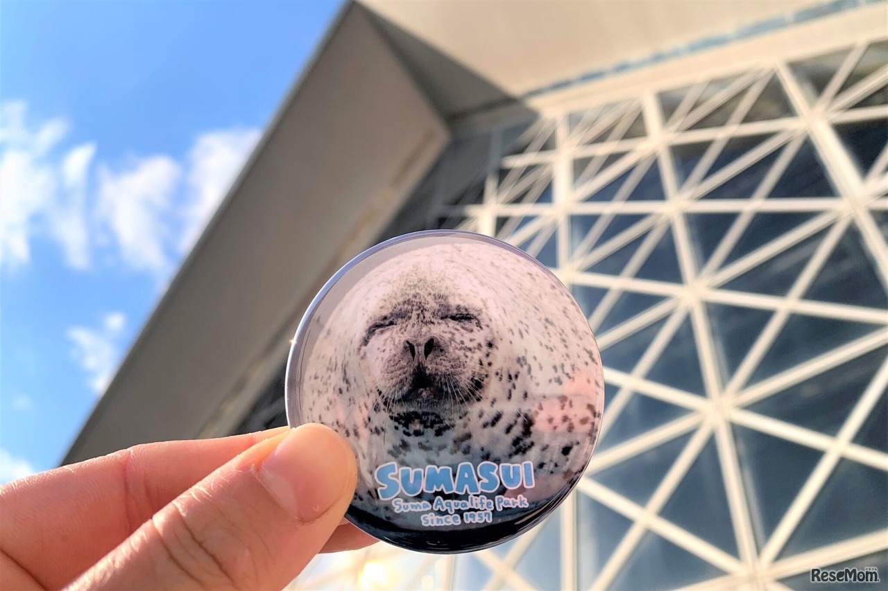 参加特典の「アザラシ缶バッジ」