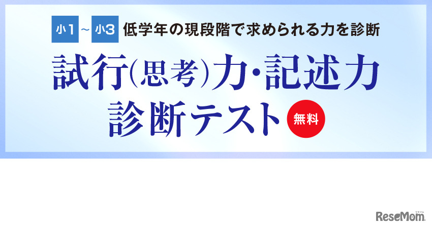 試行（思考）力・記述力 診断テスト