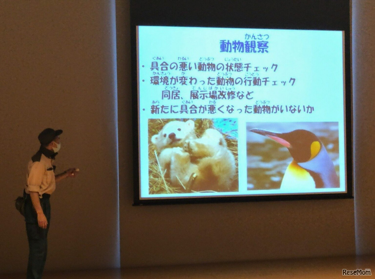 天王寺動物園による、動物への理解を深め生態について学ぶセミナー