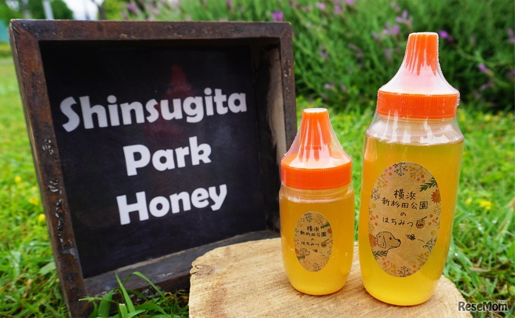 横浜市新杉田公園のみつばちが集めたはちみつ
