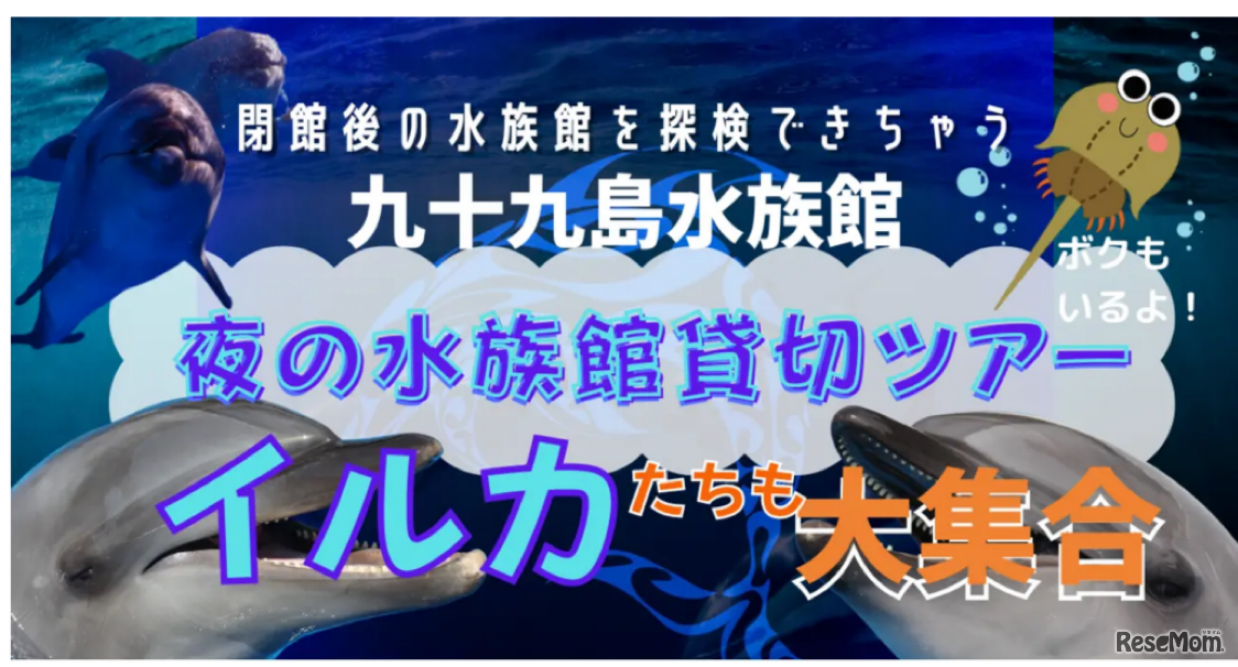 九十九里水族館夜の水族館貸切ツアー