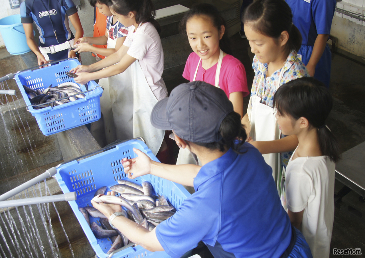 ジュニアトレーナー