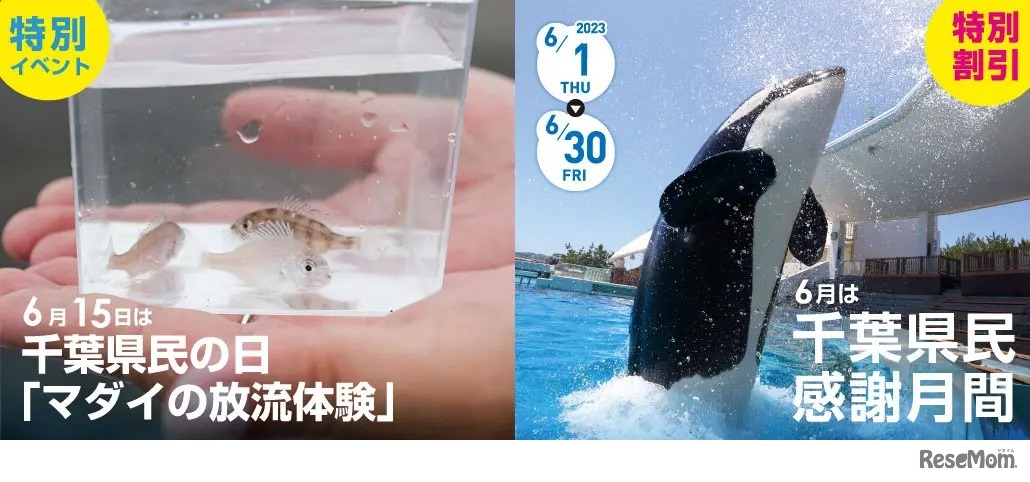 6月中は「千葉県民感謝月間」でお得に入館！